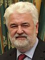 Mirko Cvetković Cropped