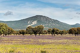 Montes de Toledo - Retuerta del Bullaque2.jpg