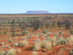 Mount Conner, August 2003.jpg