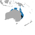 Northern Brown Bandicoot area