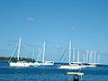 Port Vila - Yacht Club - panoramio