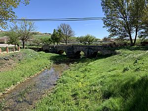 Archivo:Puente de Abajo (Pinilla Trasmonte) 16