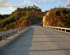 Archivo:Puente la Integracion