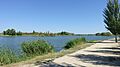 Río Tajo en Las Herencias 01