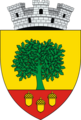 ROU SV Cajvana CoA
