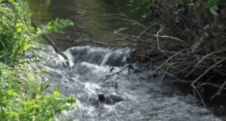 Rio Pielgo.png