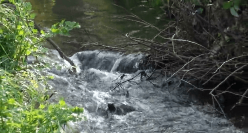 Rio Pielgo