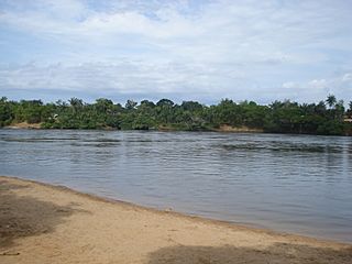 Rio Vaupés a la altura de Mitú.jpg