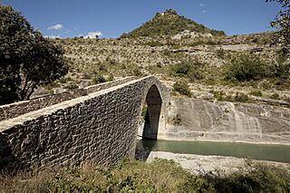 Roda d'Isàvena, Puente Medieval PM 52702.jpg