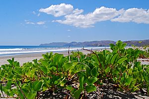 Archivo:Santa Rosa National Park
