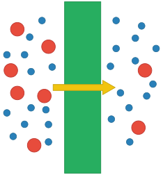 Archivo:Schematic of size-based membrane