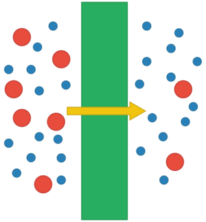 Archivo:Schematic of size-based membrane