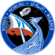 SpaceX Crew-6 logo.png