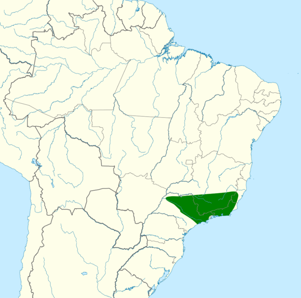 Stephanoxis lalandi map