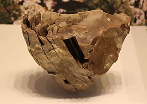 Archivo:Stone Core for Making Blades - Boqer Tachtit, Negev, circa 40000 BP (detail)