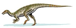 Thescelosaurus BW.jpg