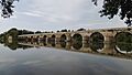 Toro - Puente 2
