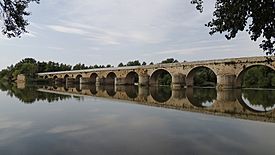 Toro - Puente 2.jpg