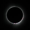 Total eclipse april 2024 solar prominences
