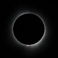 Total eclipse april 2024 solar prominences