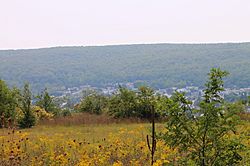 View of Mount Carmel 2.JPG