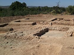 Archivo:Yacimiento de la Ermita de Santa Potenciana