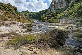 .00 1137 Waimangu Volcanic Valley - New Zealand.jpg
