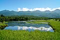 140829 Ichiko of Shiretoko Goko Lakes Hokkaido Japan01s5