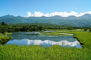 Archivo:140829 Ichiko of Shiretoko Goko Lakes Hokkaido Japan01s5