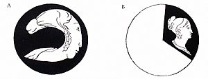 Archivo:1829 plateau - anorthoscope
