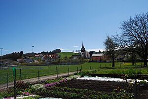 Archivo:2012-04-26 Sense-Sarino (Foto Dietrich Michael Weidmann) 062