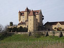 Arricau-Bordes.jpg