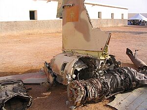 Archivo:Avion marocain Tifariti