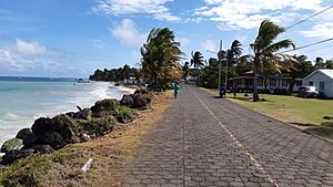Archivo:Big Corn Island aka Great Corn island, Nicaragua 20