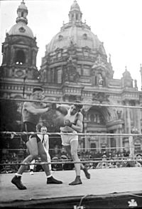 Archivo:Bundesarchiv Bild 102-00505, Berlin, Turn- und Sportwoche im Lustgarten
