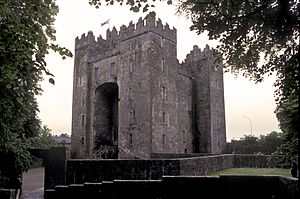 Archivo:BunrattyCastle01(js)