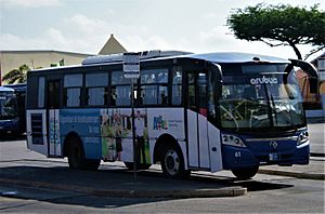 Archivo:Bus de la empresa Arubus, a cargo del transporte urbano e interurbano dentro de la isla de Aruba.
