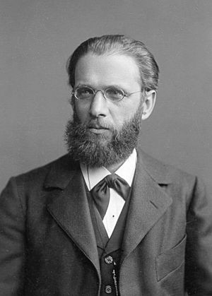 Archivo:Carlstumpf