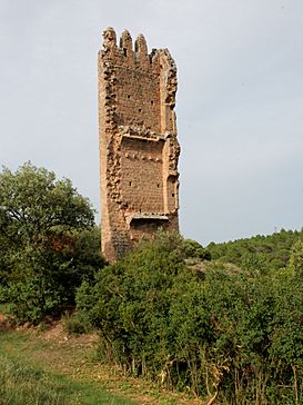 Castell de Merola 2.jpg