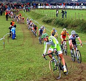 Archivo:Ciclocrossasteasu