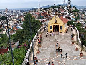 Archivo:Cima del Cerro Santa Ana