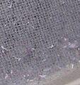 Dryer lint screen