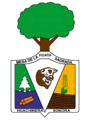 Escudo de Huachinera Sonora