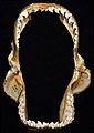 Galeocerdo cuvier jaws2