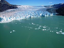 Glaciar O'Higgins o Ventisquero Grande.JPG