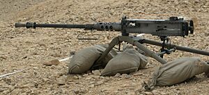 Archivo:IDF-M2 pic001a