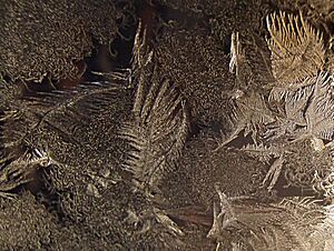 Archivo:Ice crystals