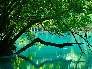 Archivo:Khoun kong Leng Lake (1)