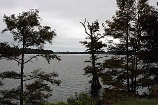 Lake Providence from the end of LA highway 2.jpg