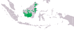 Distribución del orangután de Borneo